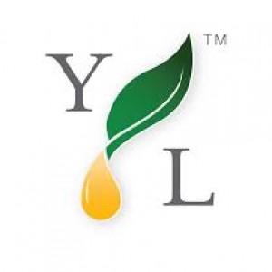 YL 6月工作坊 (澳洲)